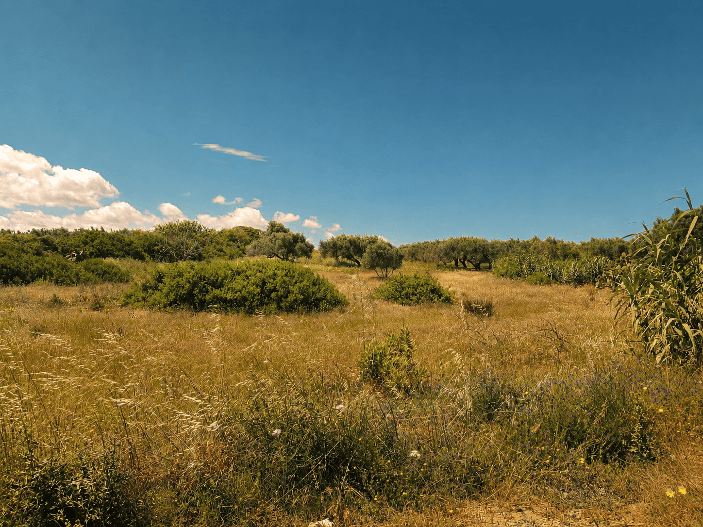 El Haouaria&nbsp;Zaouiet El Mgaies&nbsp;Terrain&nbsp;Terrain nu&nbsp;Terrain habitation ou commercial � el haouaria