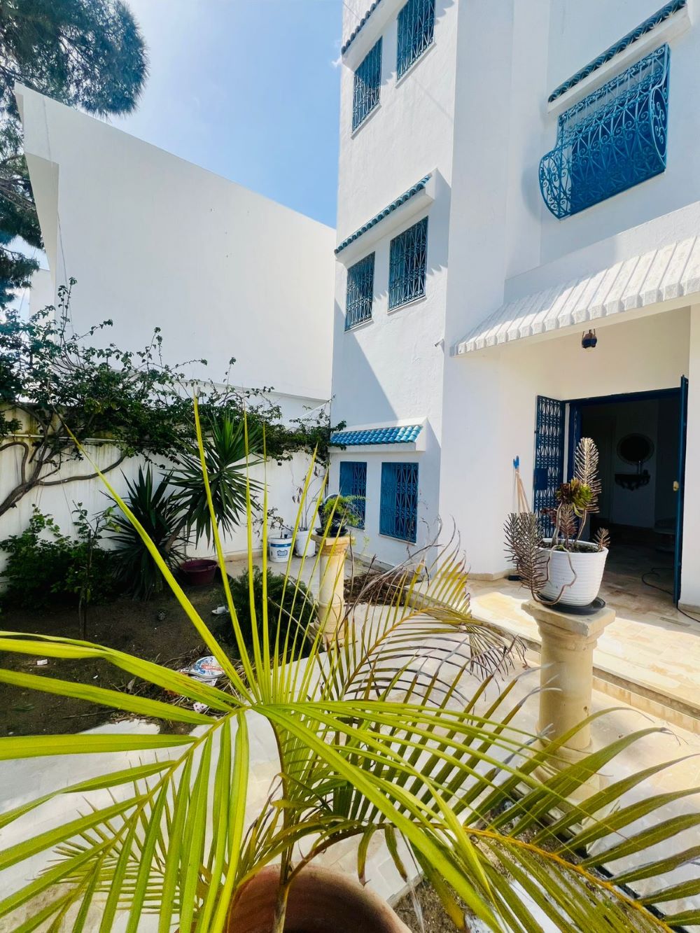 Hammamet&nbsp;Hammamet&nbsp;Vente&nbsp;Maisons&nbsp;V616 maison la palma u
