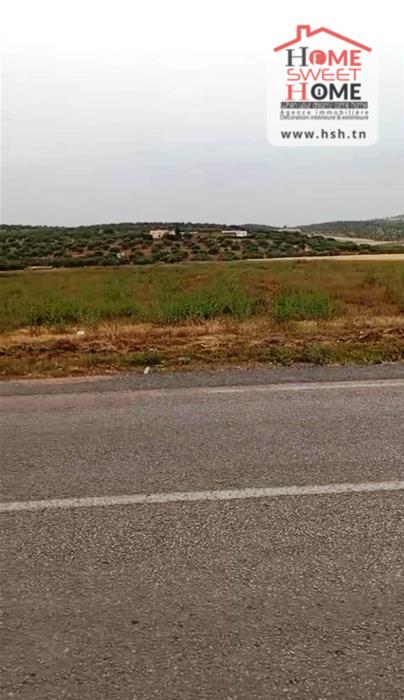 Mejez El Bab&nbsp;Mejez El Bab&nbsp;Terrain&nbsp;Terrain agricole&nbsp;Terrain agricole agrolis � mjez el beb