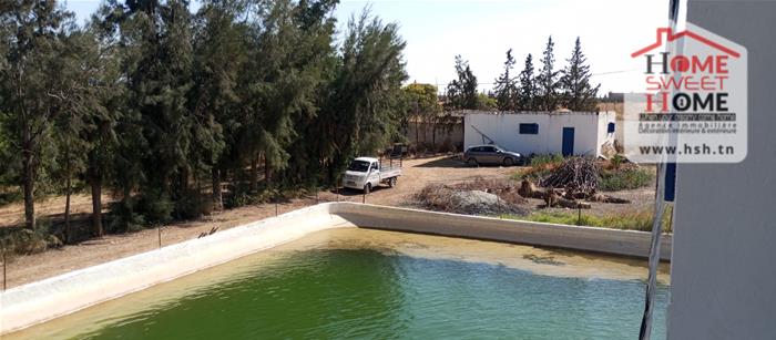 Borj El Amri&nbsp;Borj El Amri&nbsp;Terrain&nbsp;Terrain agricole&nbsp;Terrain agricole fructalis � borj el amri