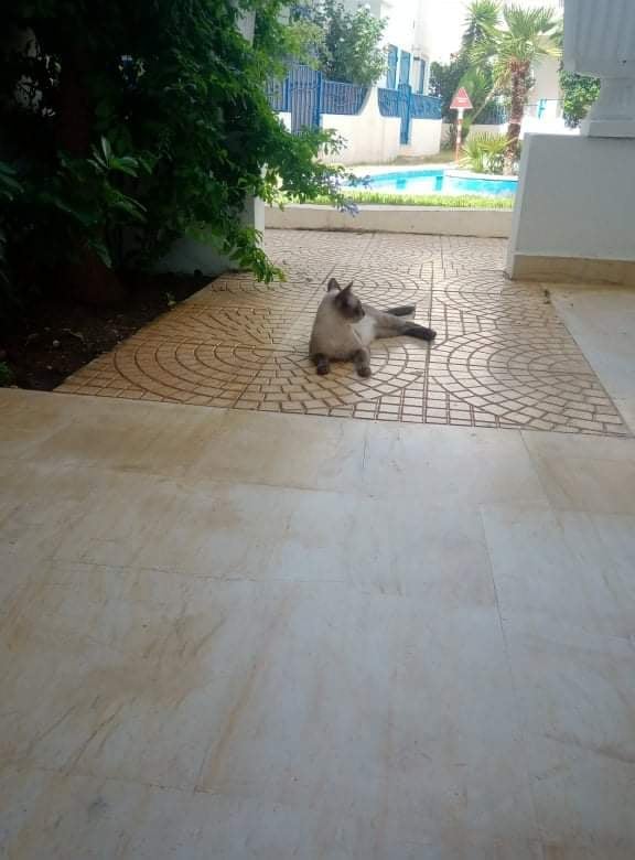 Location vacances&nbsp;Appart. 2 pi�ces - Tunisie