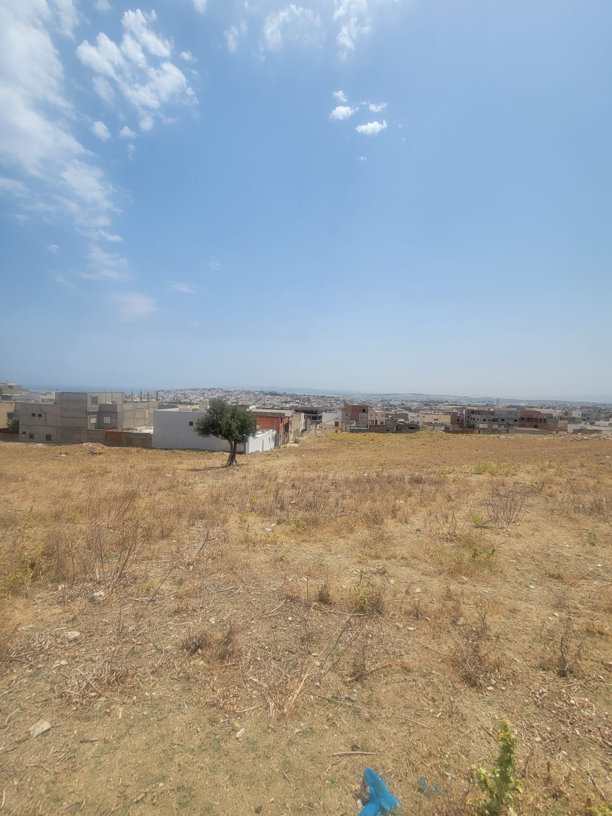 Bizerte Nord&nbsp;Bizerte&nbsp;Terrain&nbsp;Terrain nu&nbsp;Terrain urbain 414 � cit� el waha 3