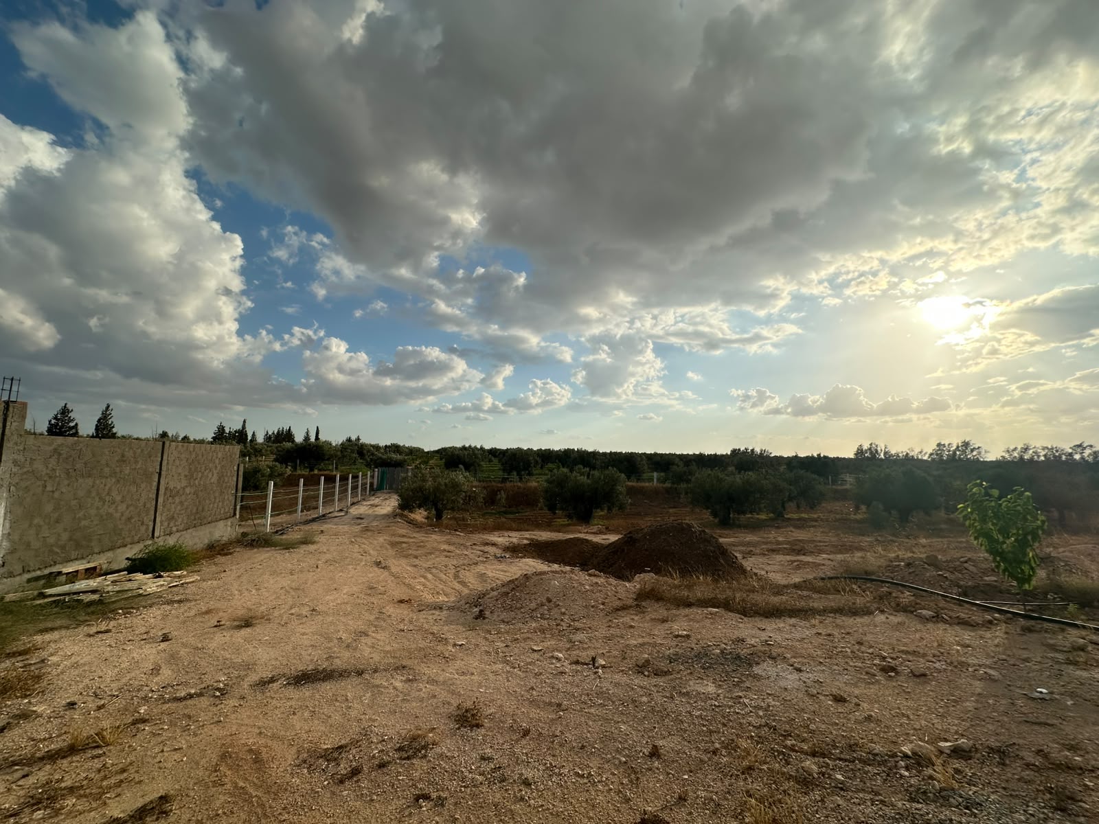 Kalaa El Kebira&nbsp;Kalaa El Kebira&nbsp;Terrain&nbsp;Terrain agricole&nbsp;Terrain agricole prix attractif