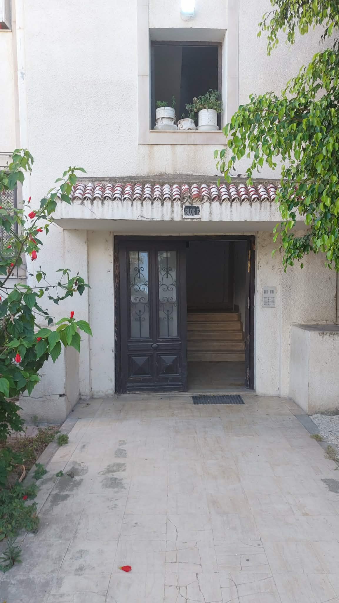 Ariana Ville&nbsp;Ariana&nbsp;Location&nbsp;Appart. 3 pi�ces&nbsp;Appartement s2 � ariana homme uniquement