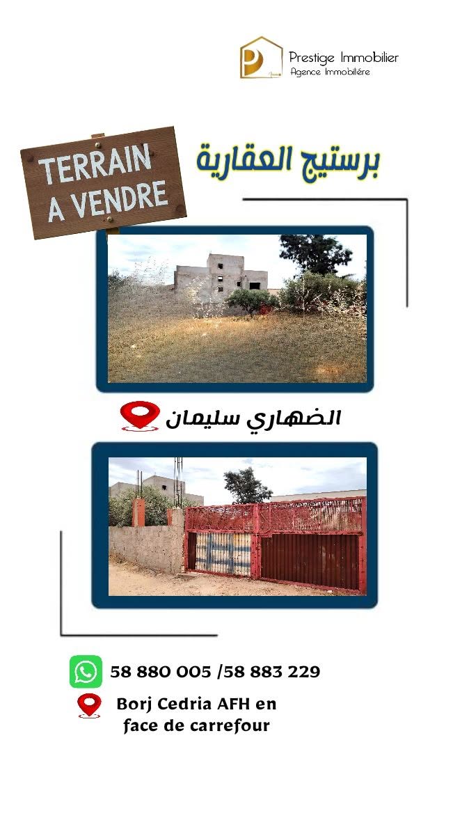 Soliman&nbsp;Dhahri&nbsp;Vente&nbsp;Surfaces&nbsp;Terrain surface agricole