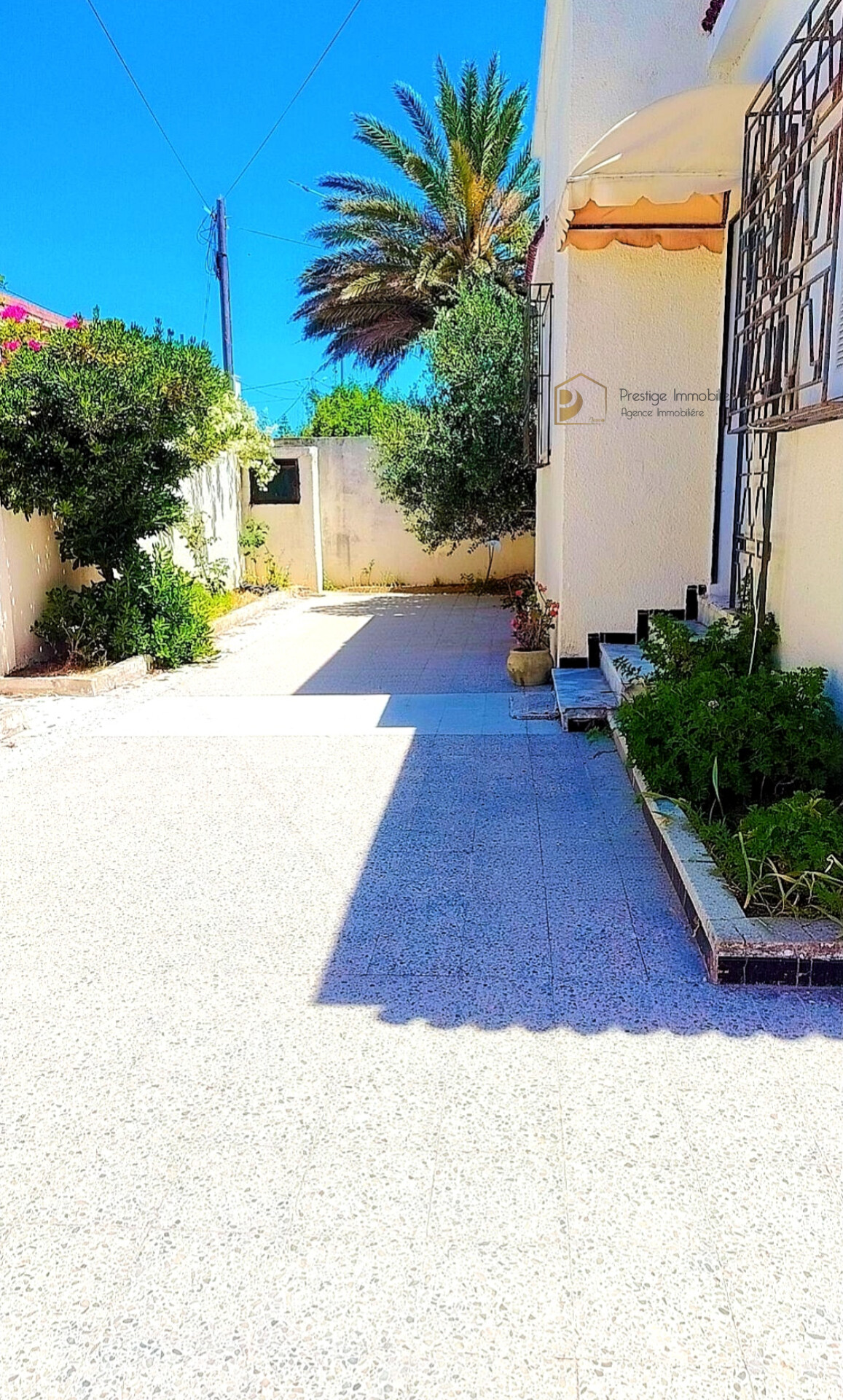 Soliman&nbsp;Soliman&nbsp;Vente&nbsp;Maisons&nbsp;Maison s3 avec studio