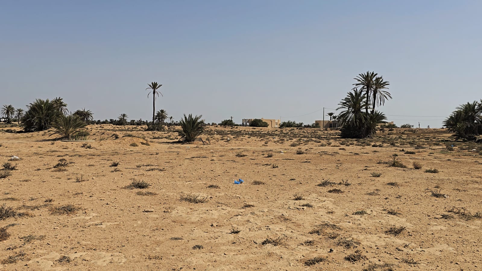 Ajim&nbsp;Ajim&nbsp;Terrain&nbsp;Terrain nu&nbsp;Grand terrain de � chikh yahia djerba