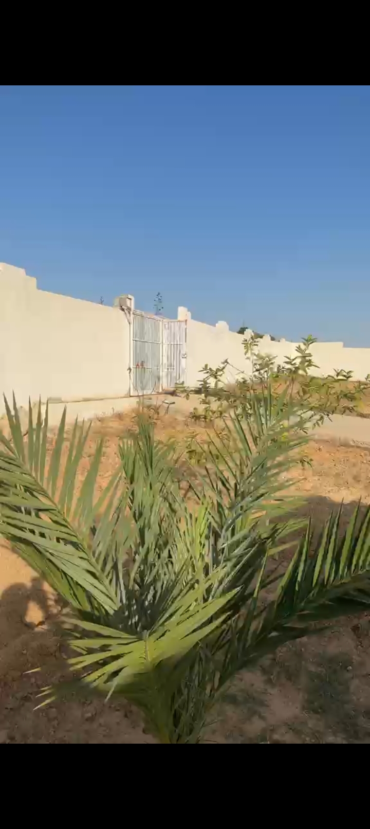 Sidi Bou Ali&nbsp;Sidi Bou Ali&nbsp;Terrain&nbsp;Terrain agricole&nbsp;Petite sania �quip�