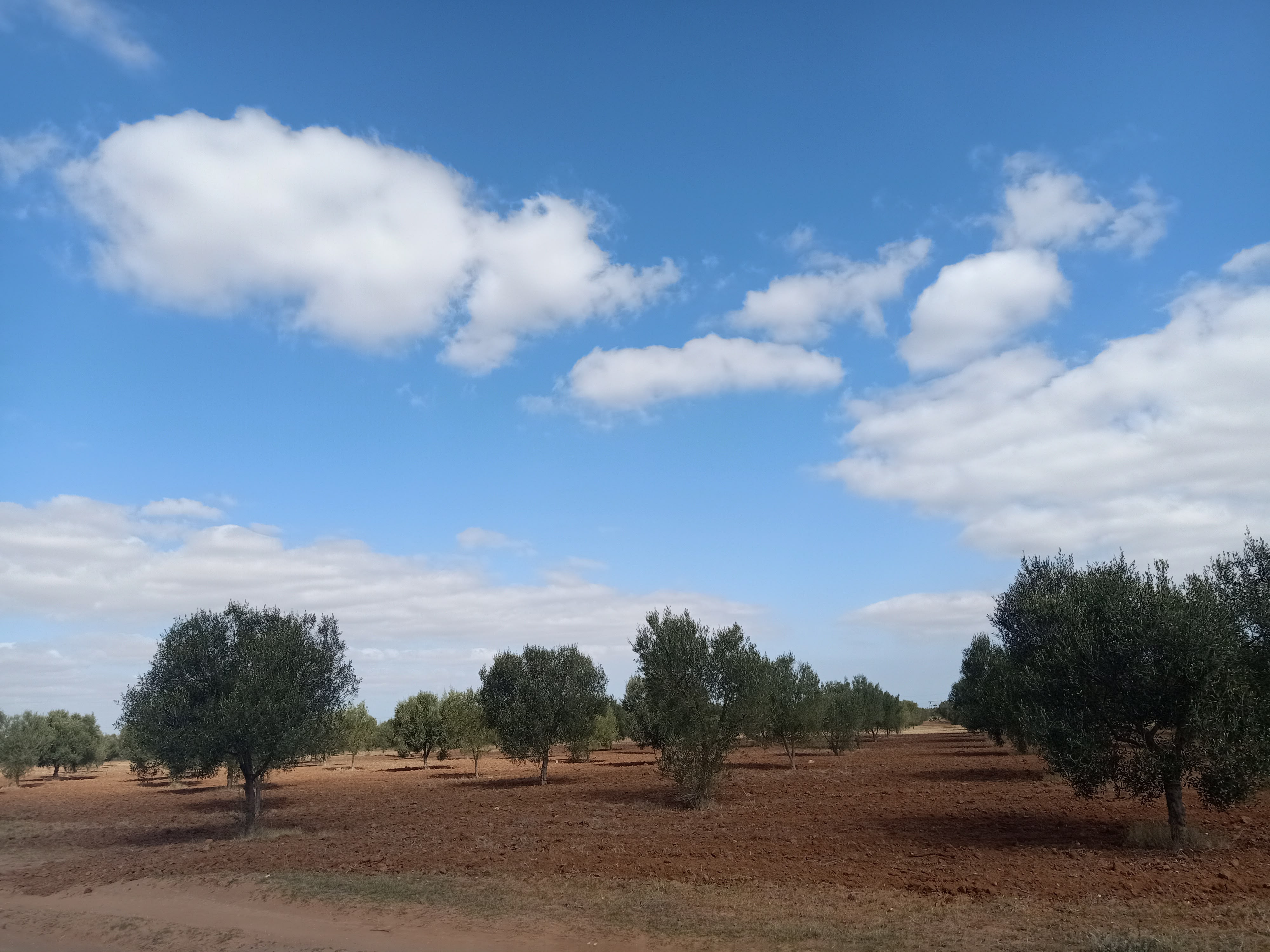 Msaken&nbsp;El Borjine&nbsp;Terrain&nbsp;Terrain nu&nbsp;Terrain � borgine