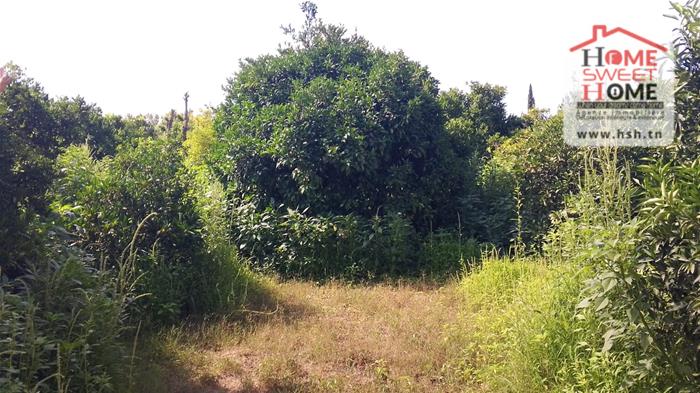 Menzel Bouzelfa&nbsp;Menzel Bouzelfa&nbsp;Terrain&nbsp;Terrain agricole&nbsp;Ferme raja � nabeul