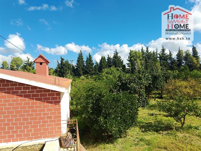 Menzel Bouzelfa&nbsp;Menzel Bouzelfa&nbsp;Terrain&nbsp;Terrain agricole&nbsp;Ferme raja � nabeul