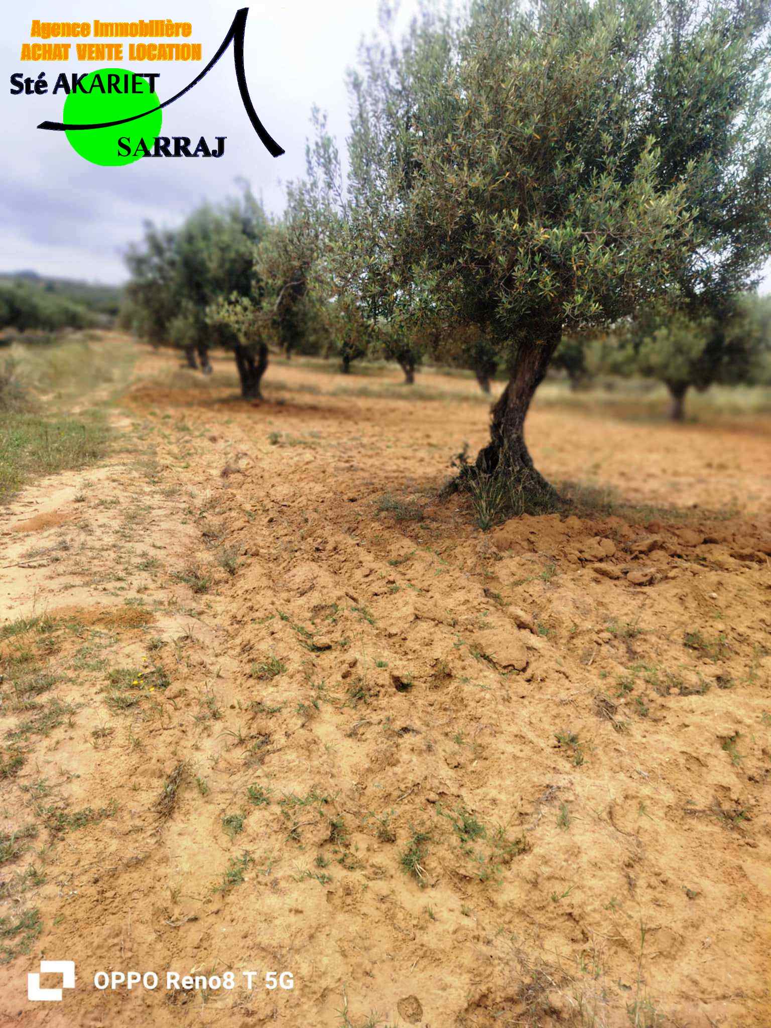 Akouda&nbsp;Chatt Meriem&nbsp;Terrain&nbsp;Terrain agricole&nbsp;Opportunit� terrain d'investissement 14590m rmila