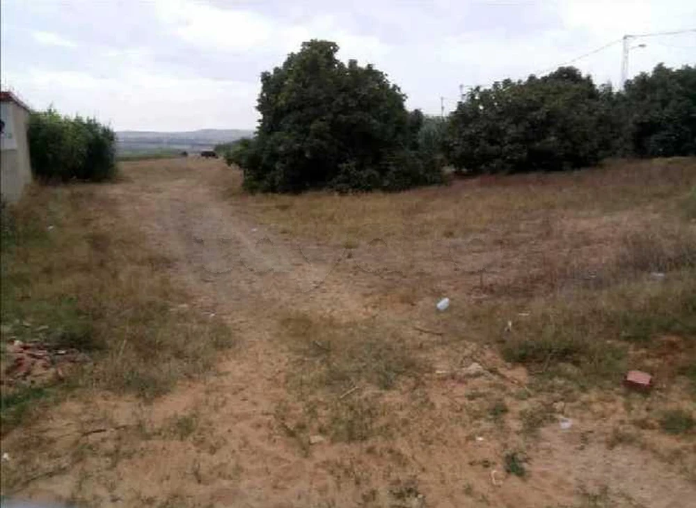 El Haouaria&nbsp;Zaouiet El Mgaies&nbsp;Terrain&nbsp;Terrain nu&nbsp;Terrain 1184 m2 sur route haouaria