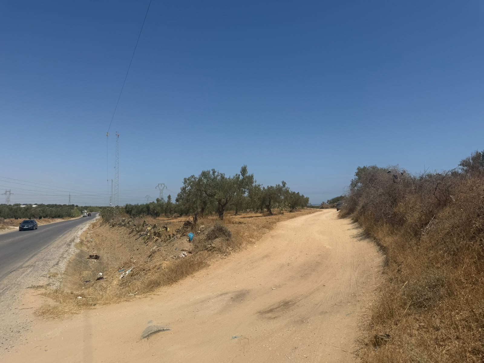 Ouerdanine&nbsp;Ouerdanine&nbsp;Terrain&nbsp;Terrain agricole&nbsp;Terrain sur le route thrayet ouerdanine