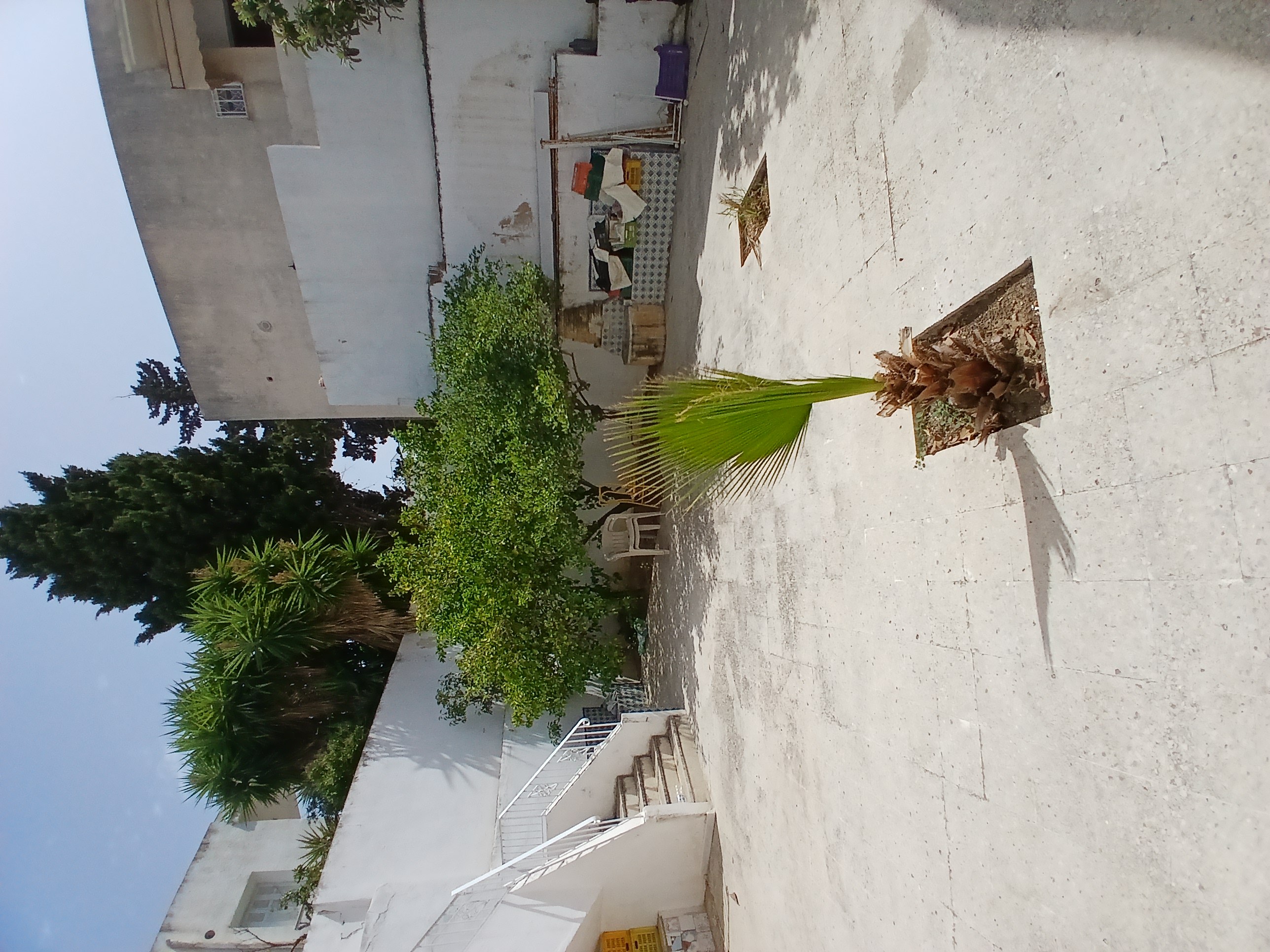Ariana Ville&nbsp;El Menzah 6&nbsp;Vente&nbsp;Maisons&nbsp;Villa � menzah 6 cot� monoprix et cit� jamil