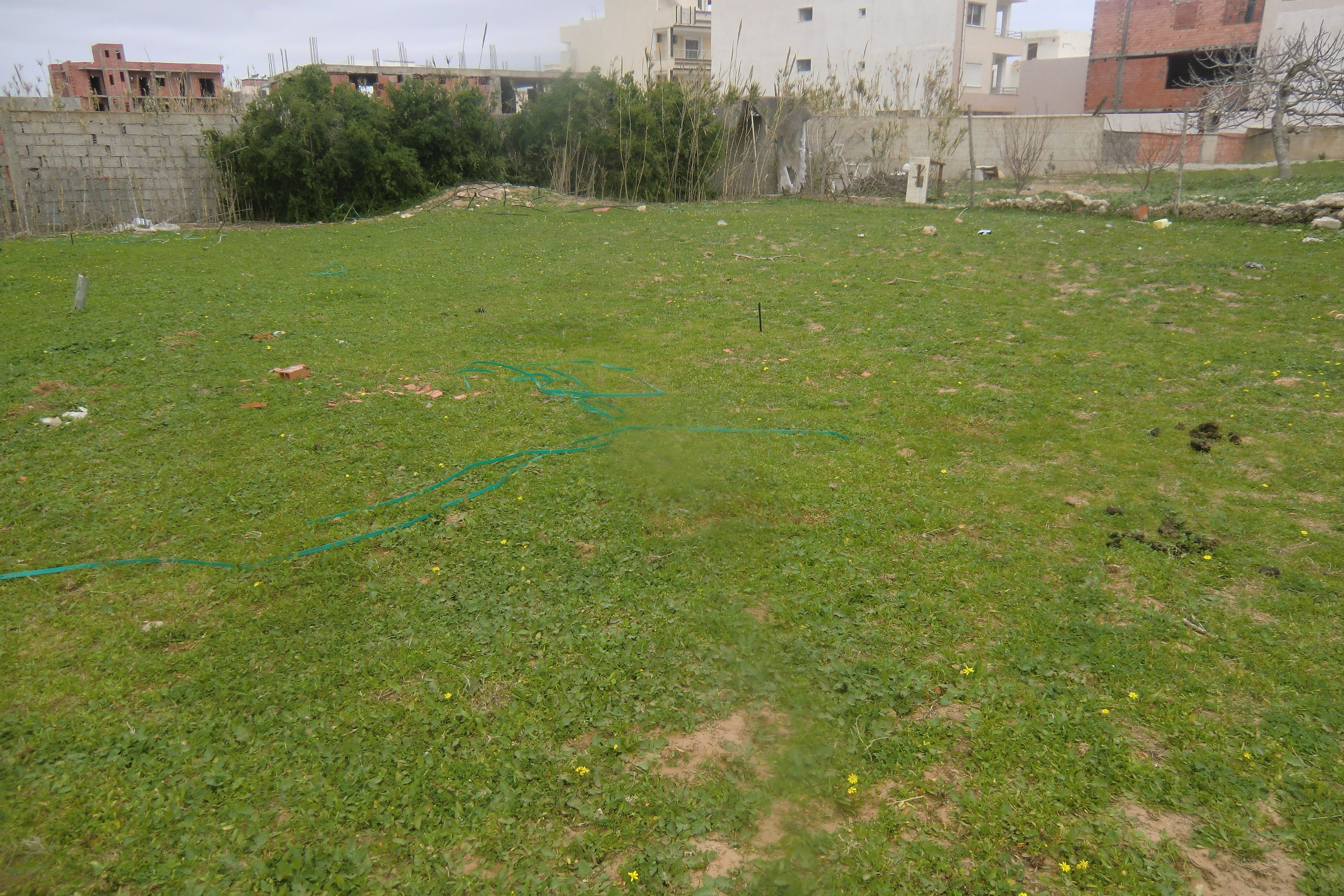 El Haouaria&nbsp;Bir El Jedey&nbsp;Terrain&nbsp;Terrain nu&nbsp;1000m2 sur la route goudronn� seulement a 70000dt