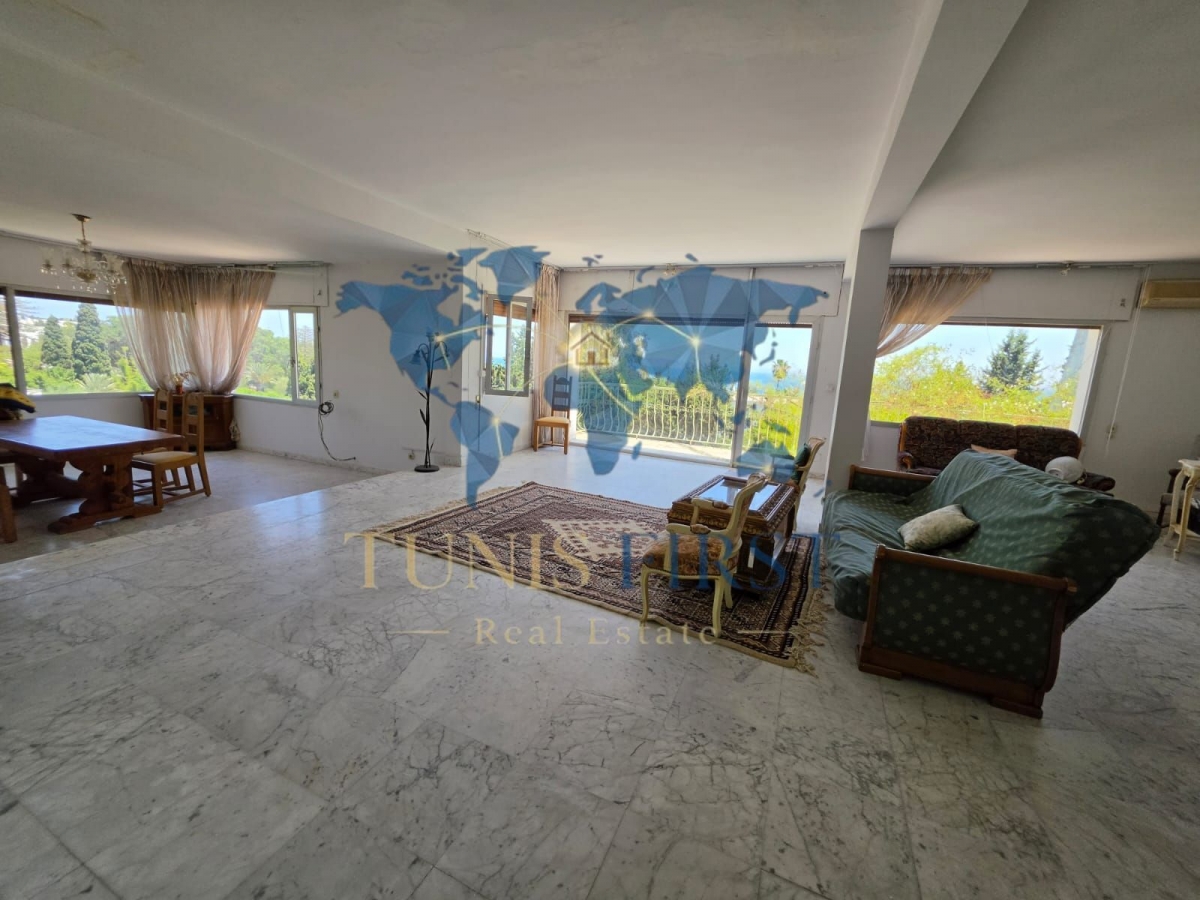 Carthage&nbsp;Carthage&nbsp;Vente&nbsp;Maisons&nbsp;Villa style arabesque  � carthage