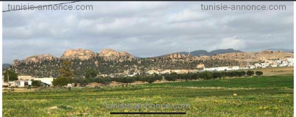 Hammamet&nbsp;Sidi Jedidi&nbsp;Terrain&nbsp;Terrain nu&nbsp;Terrain cloture vue sur la montagne acces facile