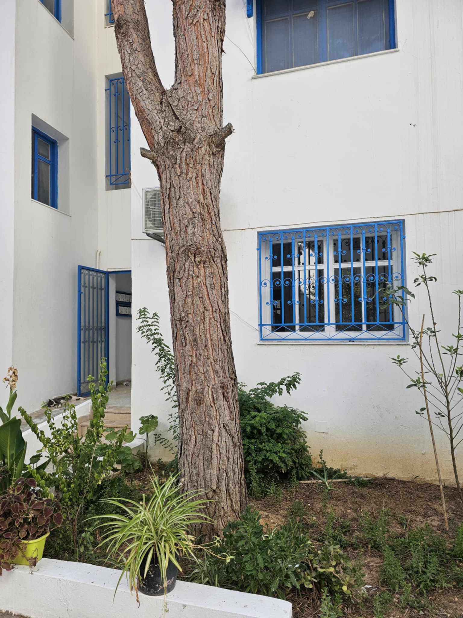 Carthage&nbsp;Sidi Bousaid&nbsp;Location&nbsp;Appart. 3 pi�ces&nbsp;S2 non meubl� � sidi bou said amilcar